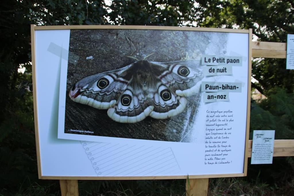فيلا La Petite Bretonne Plounerin المظهر الخارجي الصورة